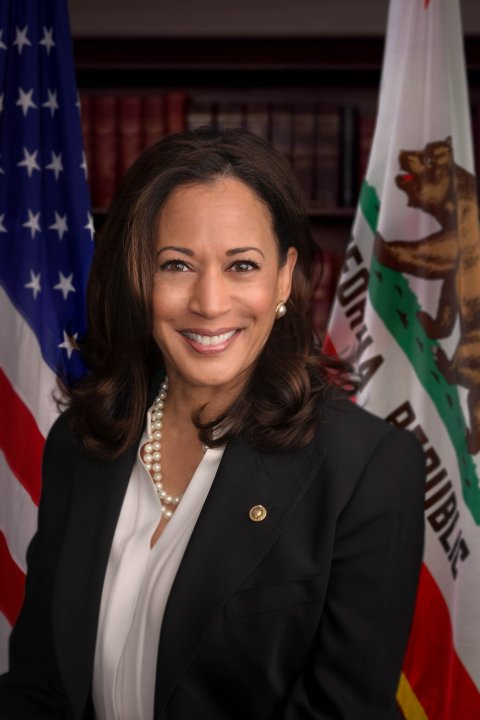 THE WOMAN WE SHOULD HAVE AS PRESIDENT