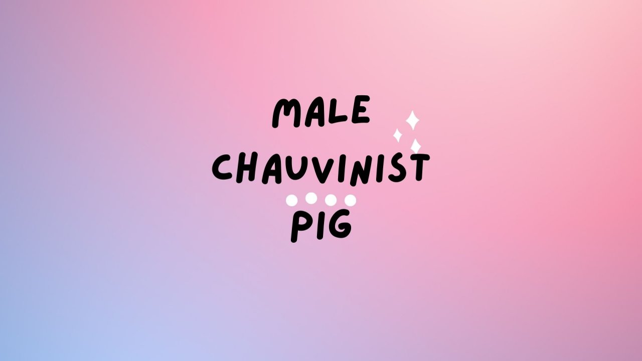 WHAT  DOES  IT  MEAN  TO  CALL  SOMEONE  A  &quot;MALE  CHAUVINIST  PIG?&quot;