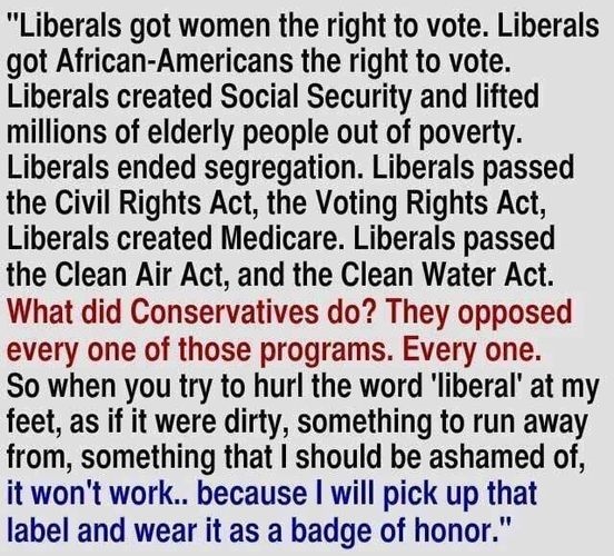 LIBERAL - WEAR THE LABEL AS A BADGE OF HONOR