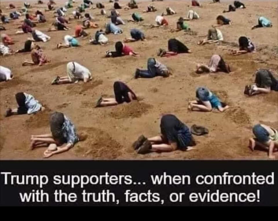 THIS NEEDS NO EXPLANATION